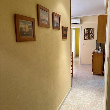 Torrevieja Precioso Apto En Calle San Pascual Con Piscina Cerca De Todos Los Servicios Eksteriør billede